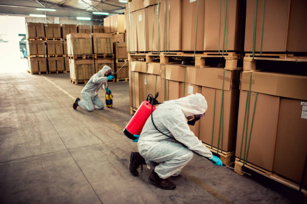 Best Pest Removal Services  in Salem, IL