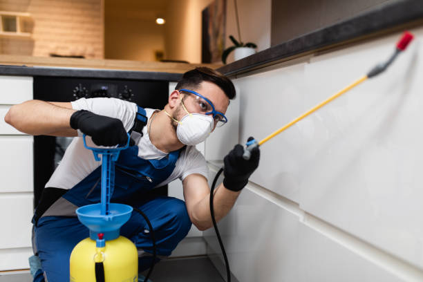 Best Residential Pest Control  in Salem, IL