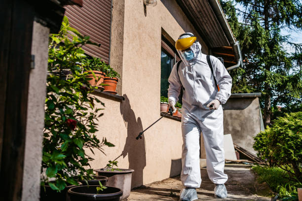 Best Commercial Pest Control Services  in Salem, IL
