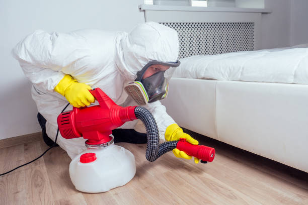 Best Pest Inspection Near Me  in Salem, IL
