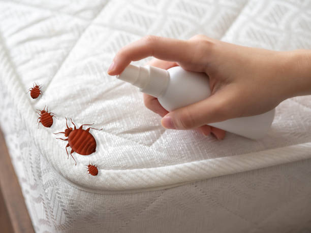 Best Best Pest Control Companies  in Salem, IL