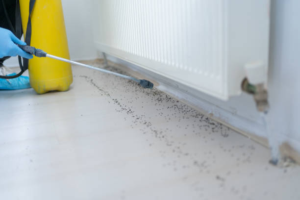 Best Bed Bug Extermination  in Salem, IL