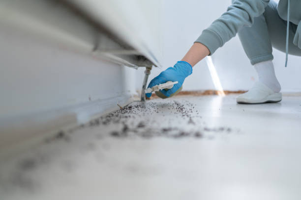Professional Pest Control in Salem, IL
